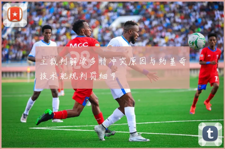 主裁判解读多特冲突原因与约基奇技术犯规判罚细节