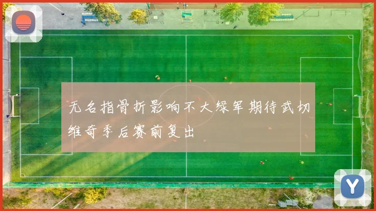 无名指骨折影响不大绿军期待武切维奇季后赛前复出